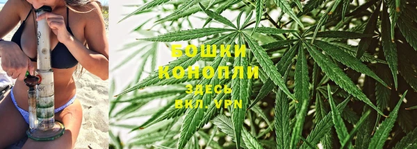 мяу мяу мука Гусиноозёрск