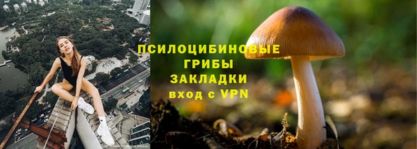 круглые Гусь-Хрустальный
