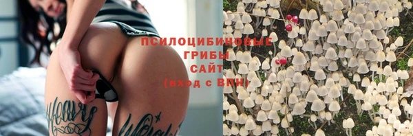 мяу мяу мука Гусиноозёрск
